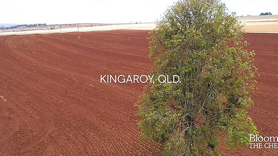 Our People, Our Community - Kingaroy